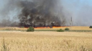 Išdegė apie 100 ha javų ir ražienų lauko. 