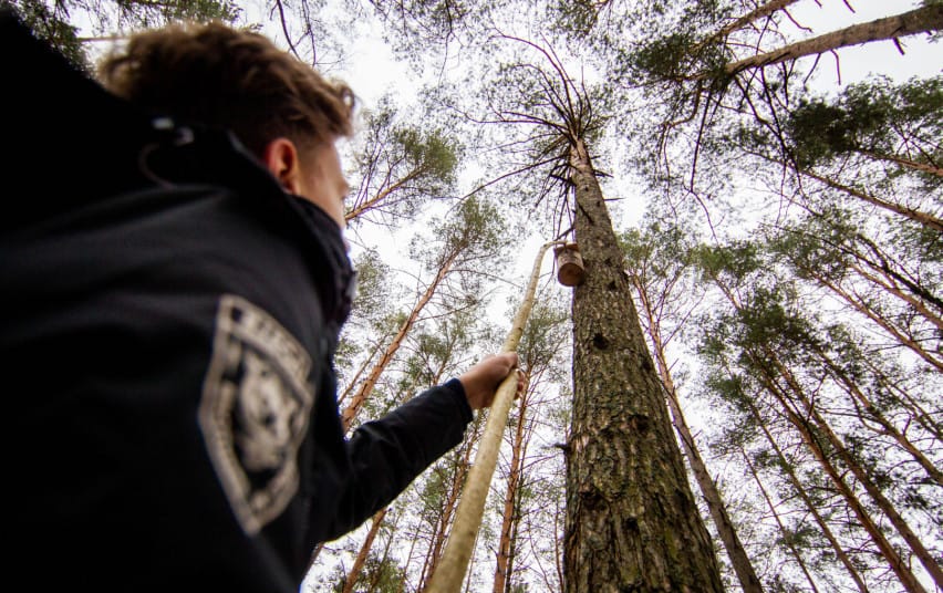 5596_23169656584d6918cff17bc0d12dd59d