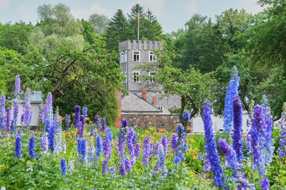 Augustės Labenskytės nuotr (1)