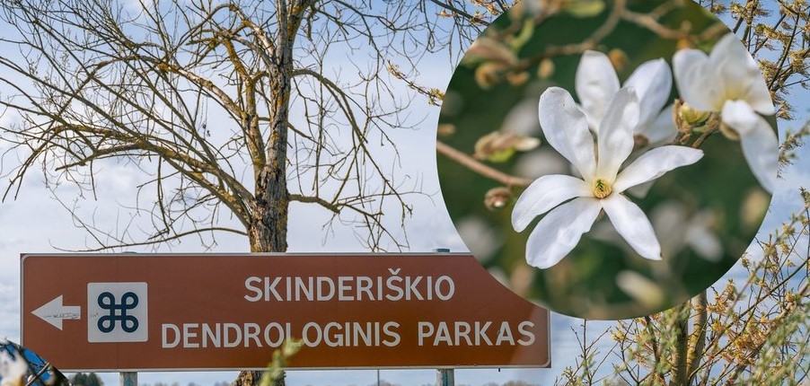 13a9f132-c61f-428a-9876-55c79850d36e