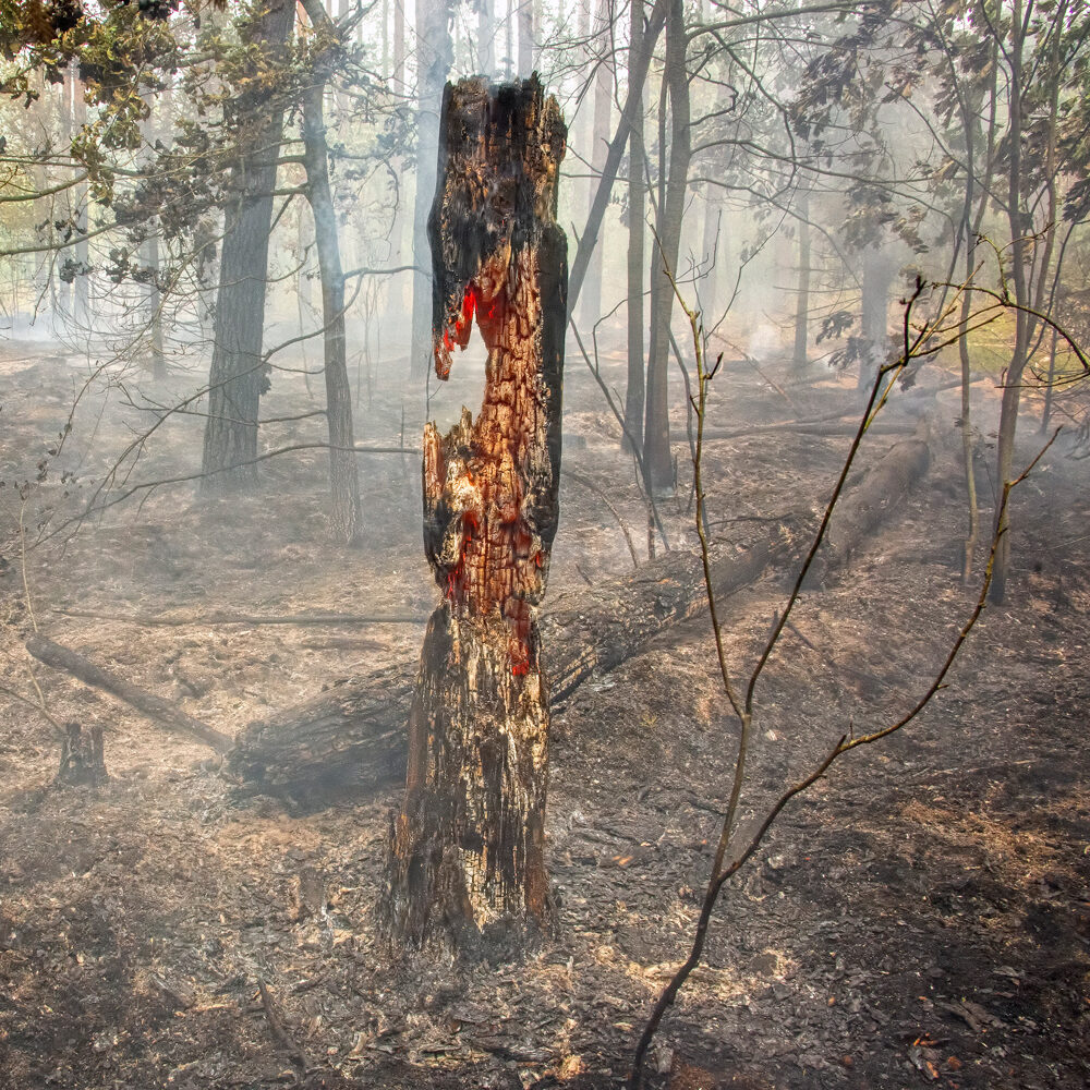 351327072_109306072188424_1199624410386488182_n-e1717071132471