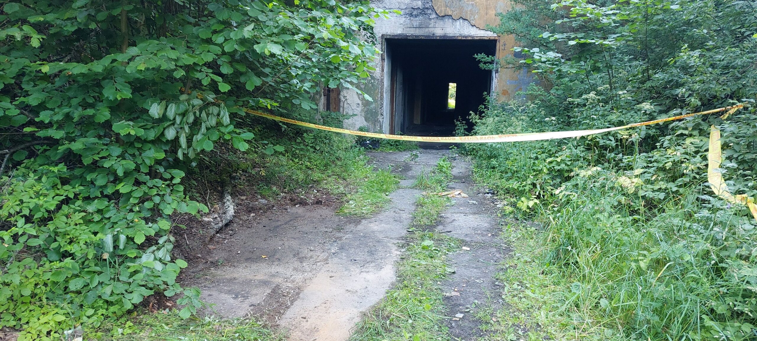 20240627_074138_resized (2)