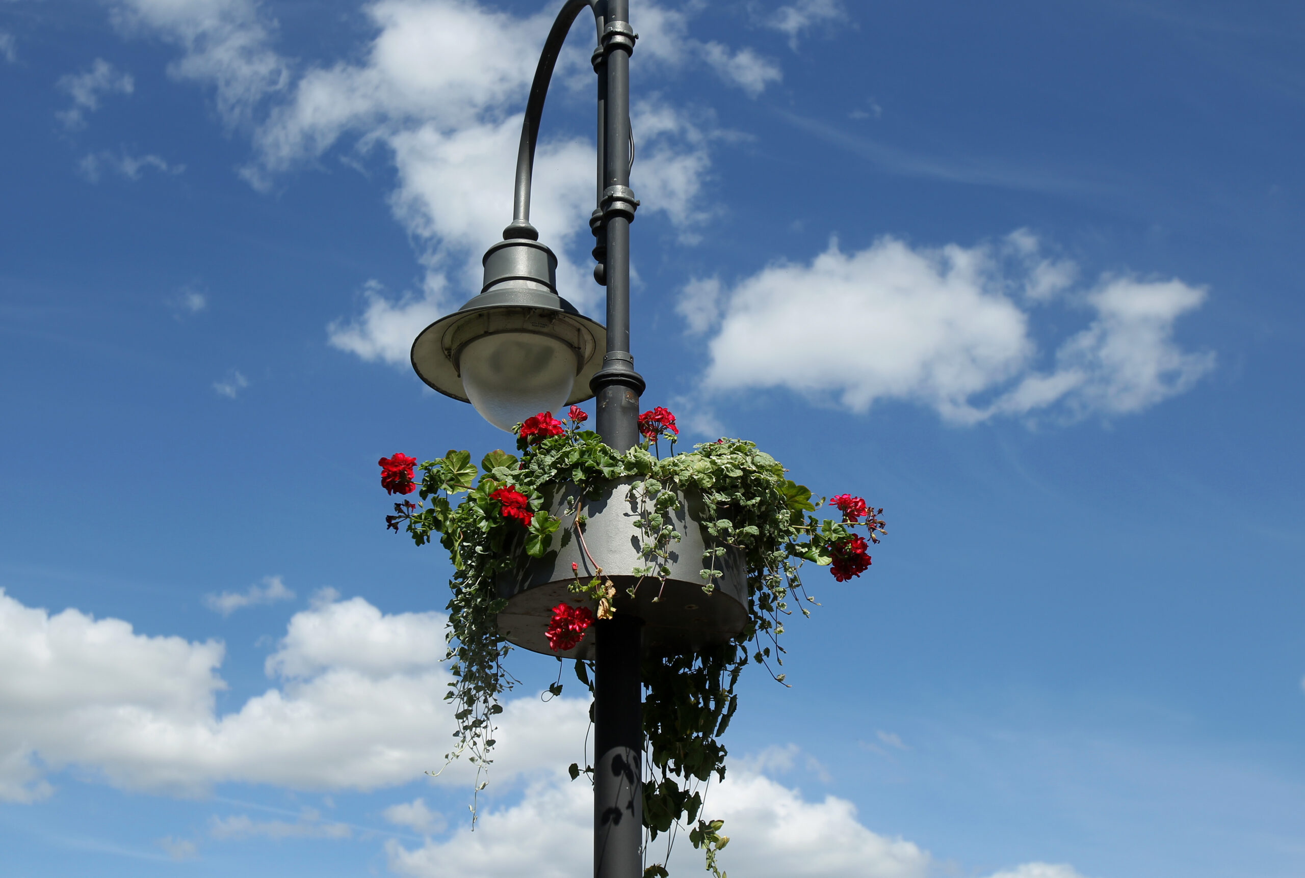 The city of Kedainiai in Lithuania is decorated with colorful flowers