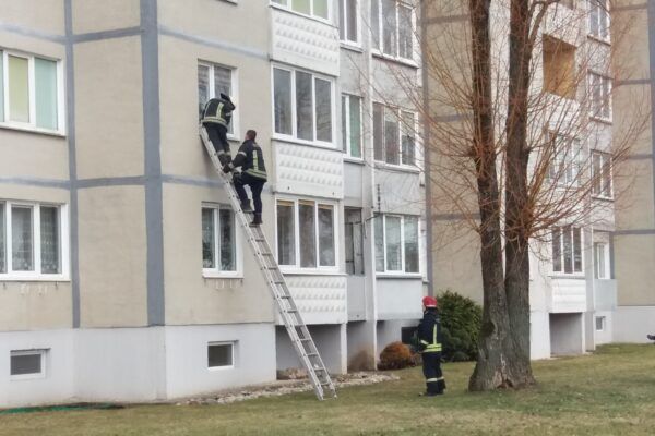 20220210_125648-600x400