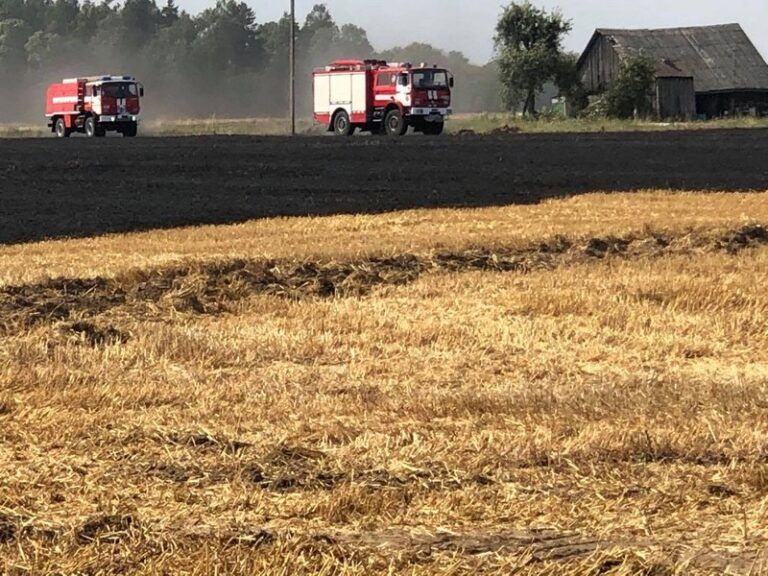 222612808_429705338127998_4973503233948533295_n-768x576-1