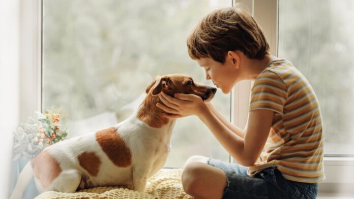 5db2eb1111b81223732402