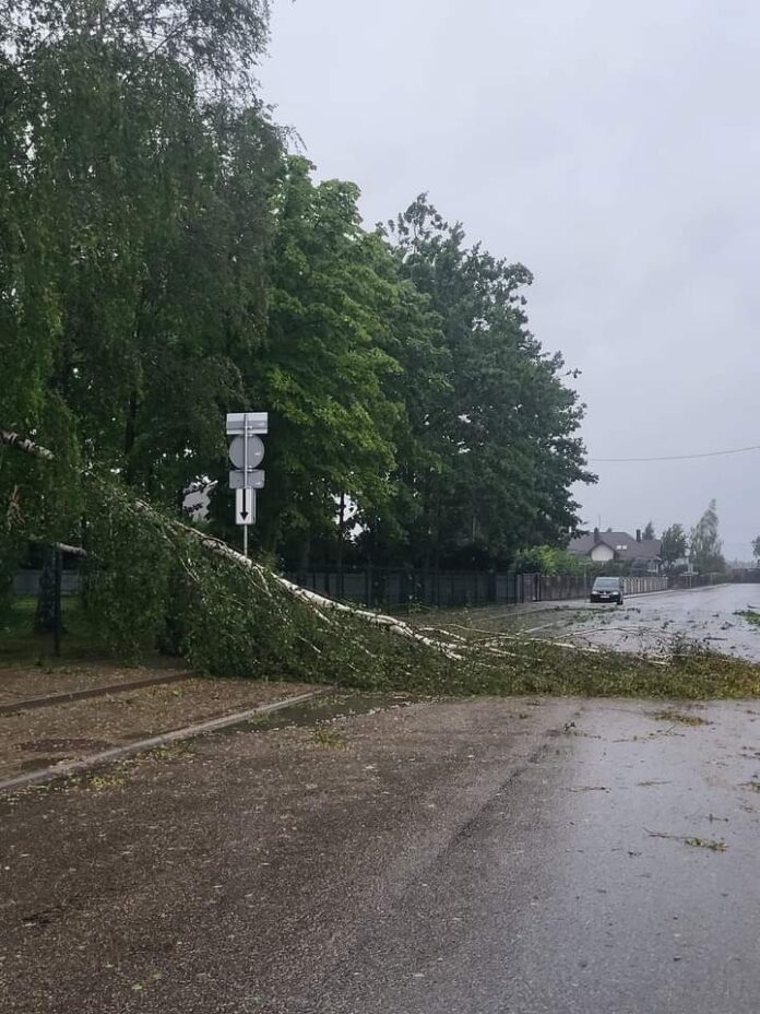 FB_IMG_1722226320854