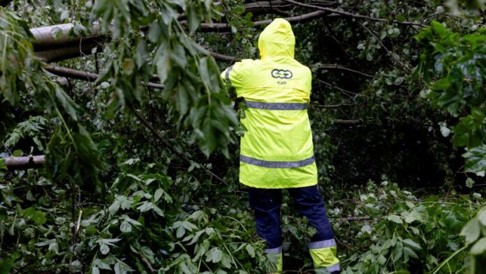 crop_853x482_lb20240729_12-696x393