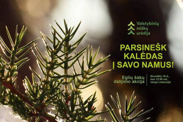 resize_600x600_469044047_1099902948807237_8948798754085310533_n