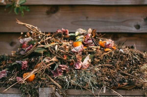 resize_600x600_picture1