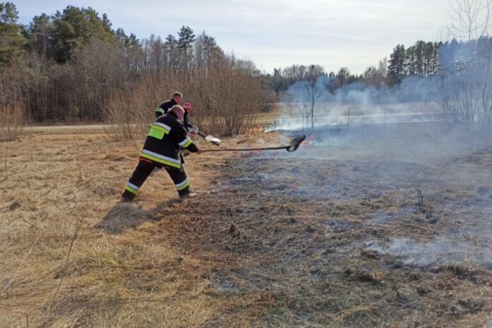 gbA1a1HBSyeg-768x512