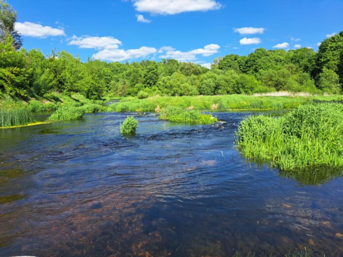 bf9b6970-5f9b-4658-b4f6-bcf600478826