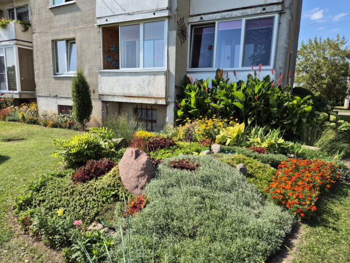 resize_1200x900_20240827_143011