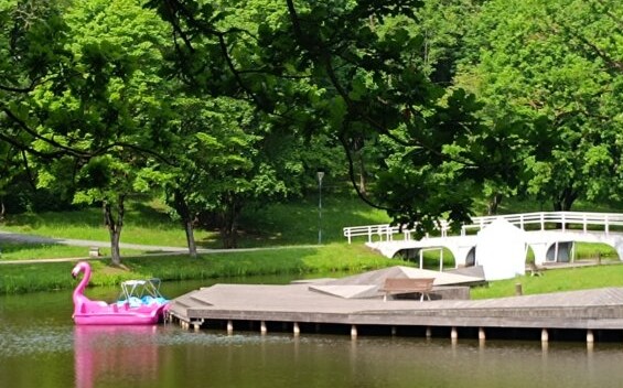 resize_600x600_1749208914648