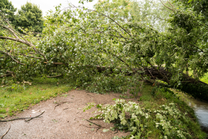 tQZmsXt4v4V2-768x512