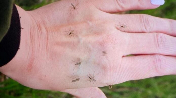 fe31d49f_resizedScaled_1020to573