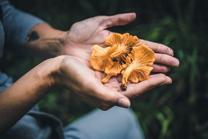 16330827681594084374