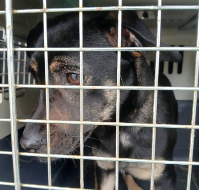 539071062_1224808486353708_1814544722815938171_n