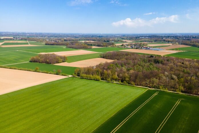 CbgCWtTbM90.jpg__2280x1520_q85_ALIAS-newshudge_crop-smart_subsampling-2_upscale