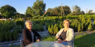 Violeta Lukoševičienė (iš kairės) ir Sandra Štuikienė prie savo rankomis puoselėjamo medelyno