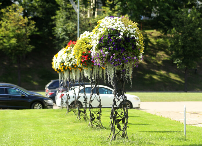 The city of Kedainiai in Lithuania is decorated with colorful flowers