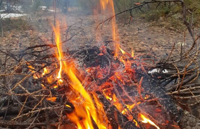 ogon-lali-les-koster-696x449-1