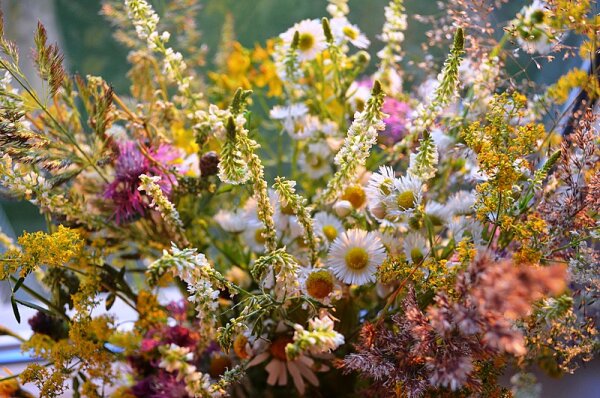 resize_600x600_pievu_geles