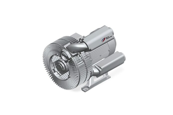 Nuo ko priklauso orapūtės ilgaamžiškumas ir kaina