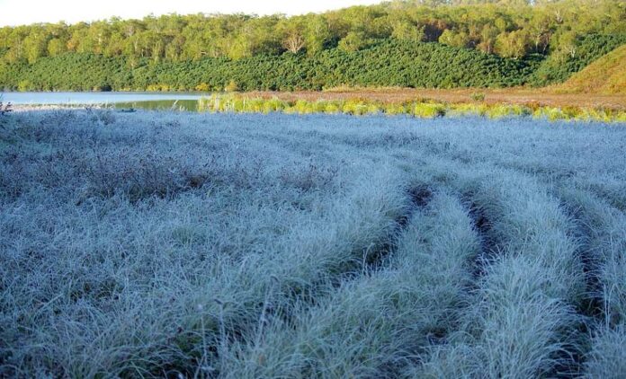 c1af6eb1a97c31e070f379f9d0f80f48