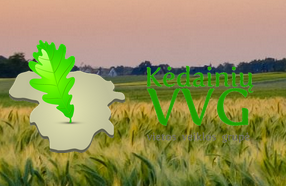 Screenshot 2025-10-29 at 08-41-08 KVIETIMAS TEIKTI VIETOS PROJEKTUS Nr. 6 ir Nr. 7 Kėdainių rajono vietos veiklos grupė