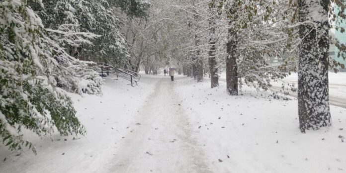 5422746736822186328-1140x570