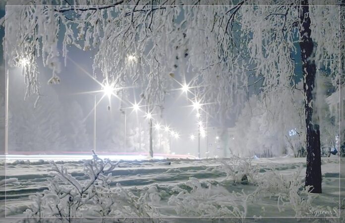 ff1d0ca79f79e23477287d026e07a5abf622cf31