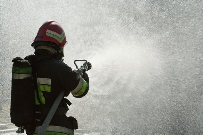 H6i-C5SzADc.JPG__720x480_q85_ALIAS-newssmall_crop-smart_subsampling-2_upscale-1(1)