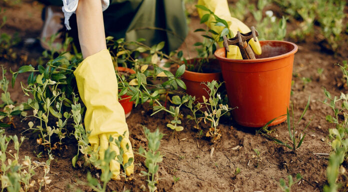 fit_960_530_false_crop_1500_843_0_21_q90_3552012_33143755c48a8f81273f73f76