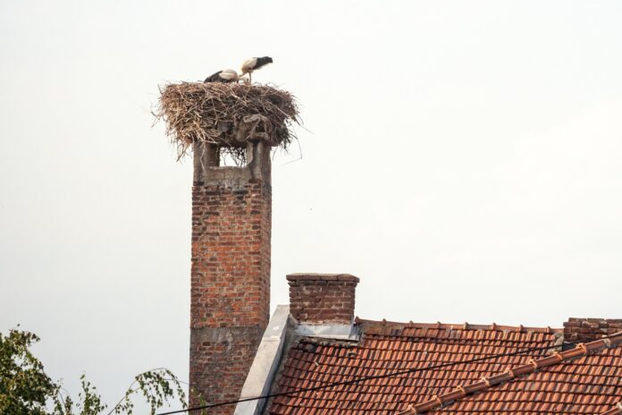 hsdlKcAI1Bc.jpg__2280x1520_q85_ALIAS-newshudge_crop-smart_subsampling-2_upscale