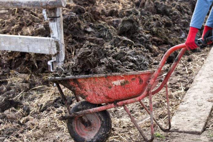 kFKjvBAGcIg.png__2280x1520_q85_ALIAS-newshudge_crop-smart_subsampling-2_upscale