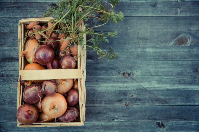 pexels-markusspiske-175414