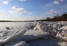 Panevėžyje fiksuotas sezoninis Nevėžio vandens pakilimas