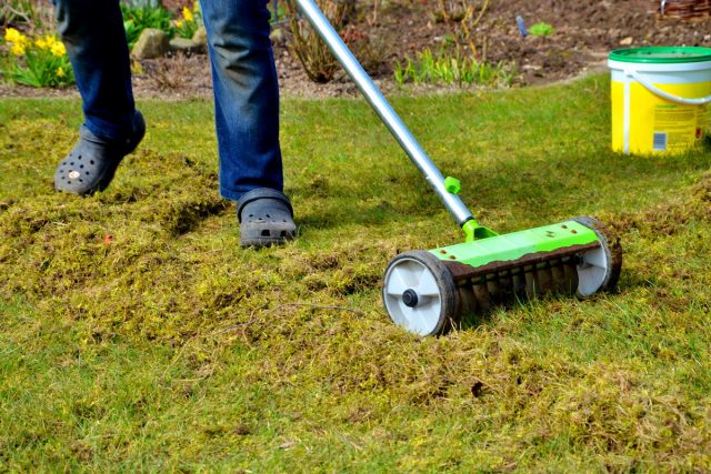 vesenniy-uhod-za-gazonom-01-640x427