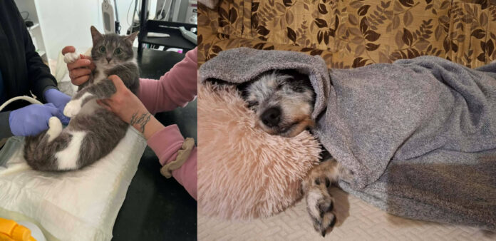 BeFunky-collage bgk(18)