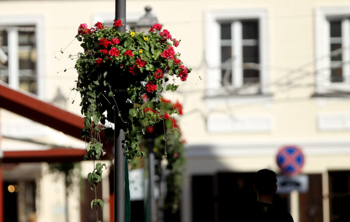 The city of Kedainiai in Lithuania is decorated with colorful flowers