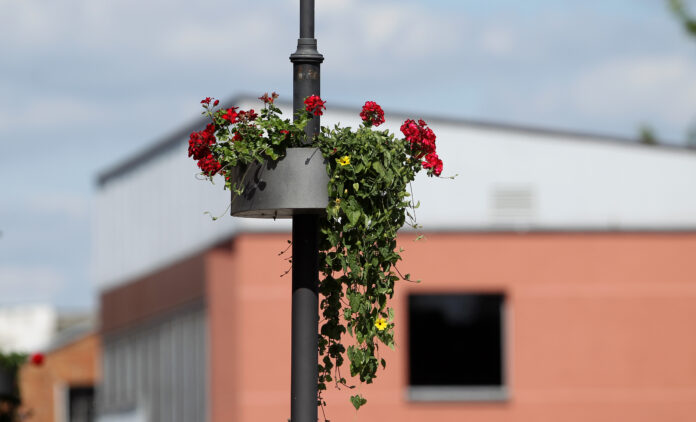 The city of Kedainiai in Lithuania is decorated with colorful flowers