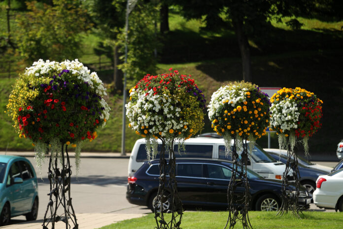 The city of Kedainiai in Lithuania is decorated with colorful flowers