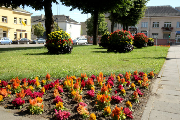 The city of Kedainiai in Lithuania is decorated with colorful flowers