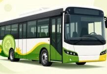 Agurkų festivalio metu – papildomi autobusų reisai