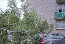 Kėdainiuose ir Josvainiuose medžiai virto ant automobilių
