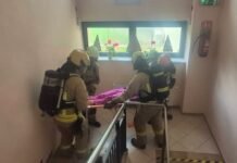 Ugniagesiams teko pernešti ligonį ir pašalinti medį nuo kelio