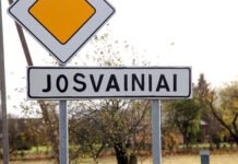 Jaunuolio vairuojamas BMW apgadino elektros stulpą