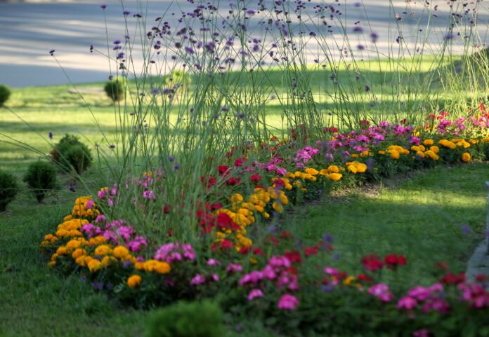 The city of Kedainiai in Lithuania is decorated with colorful flowers