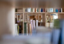 Kokios knygos ir autoriai buvo populiariausi bibliotekose 2025-aisiais?